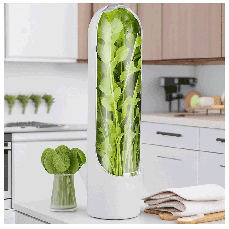 Recipiente para conservar hierbas