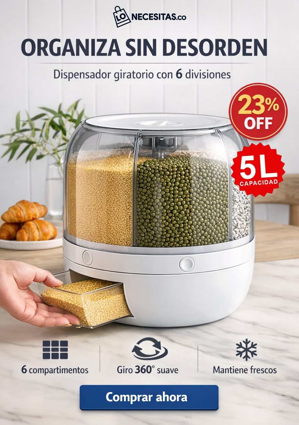 Dispensador de granos y cereales / 6 divisiones