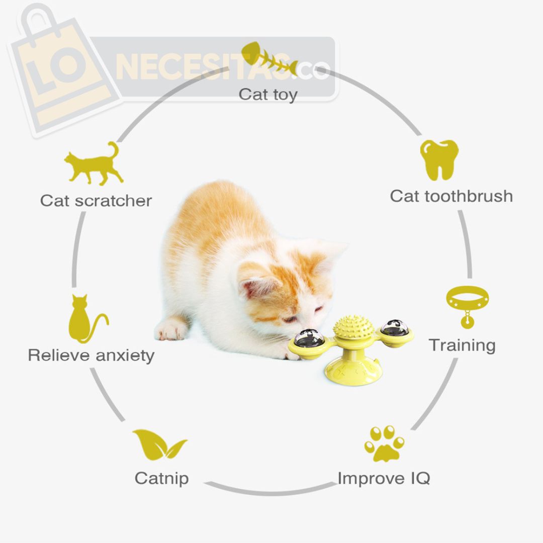 CAT TOY