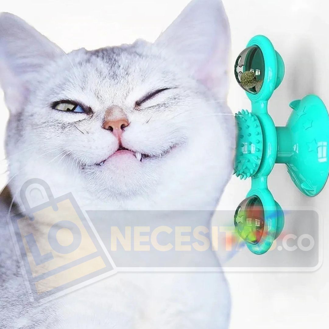 CAT TOY