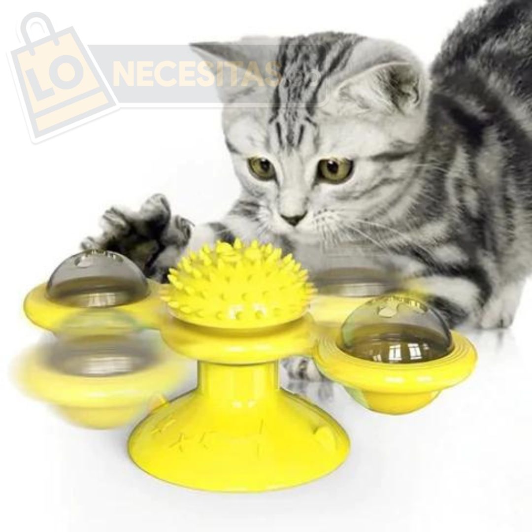 CAT TOY