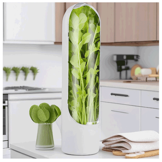 Recipiente para conservar hierbas