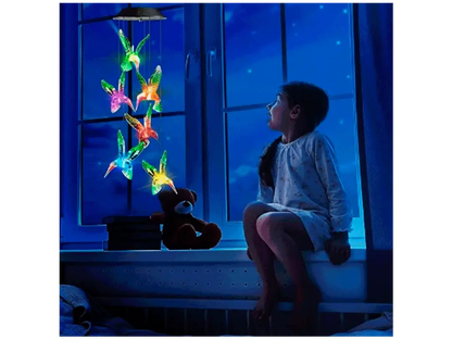 Colibries LED con Panel Solar