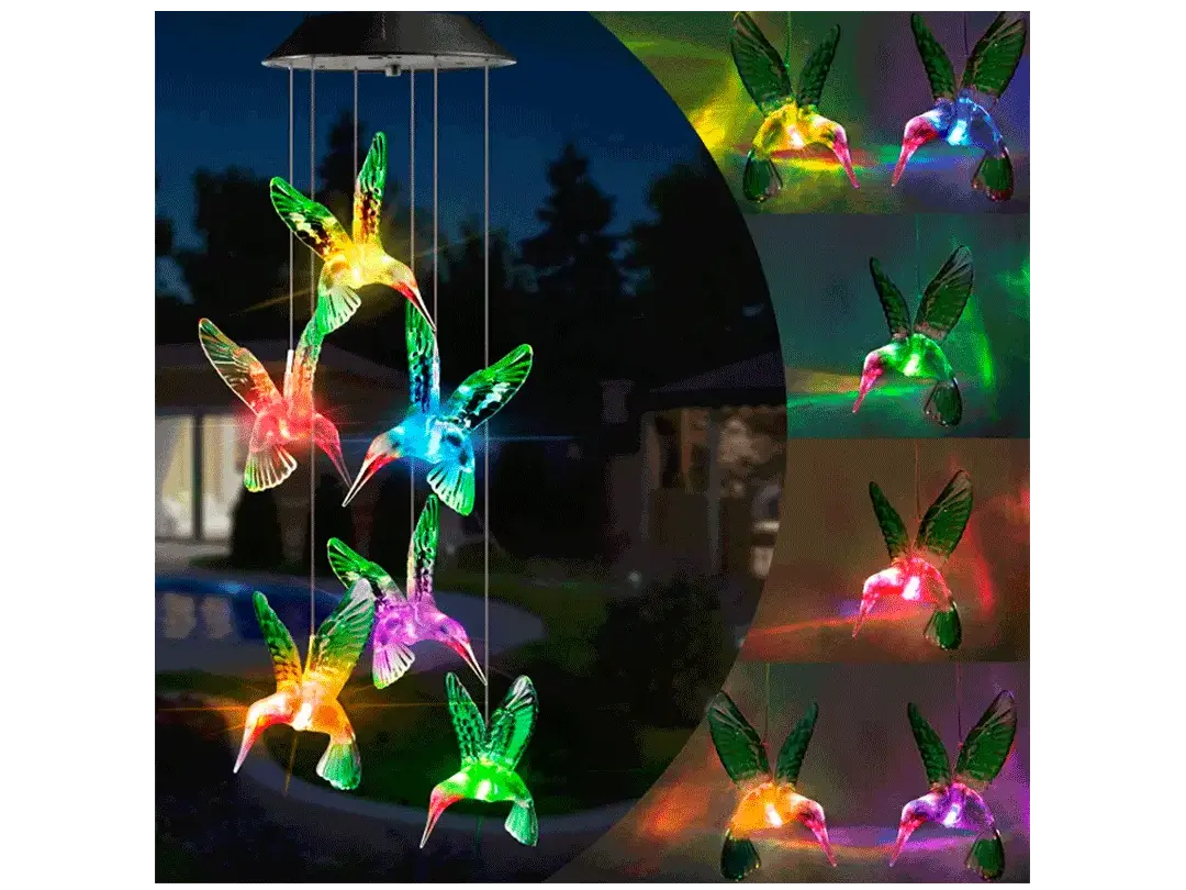 Colibries LED con Panel Solar