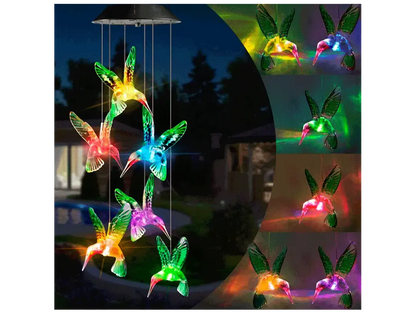 Colibries LED con Panel Solar