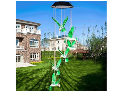 Colibries LED con Panel Solar