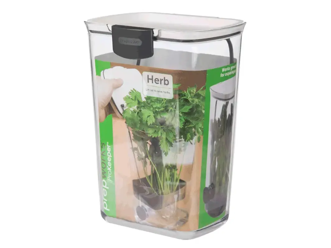 Contenedor de hierbas - frescas y hidratadas