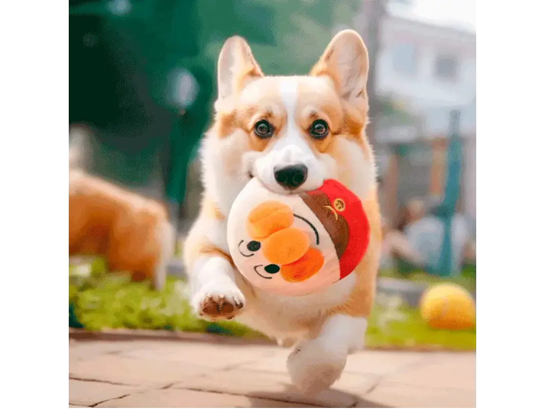 SaltiDog® / Pelota saltarina para perros