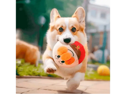 SaltiDog® / Pelota saltarina para perros