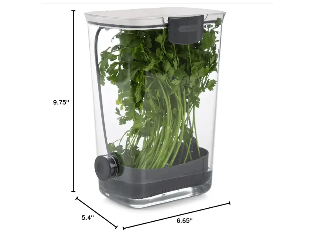 Contenedor de hierbas - frescas y hidratadas