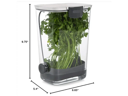 Contenedor de hierbas - frescas y hidratadas