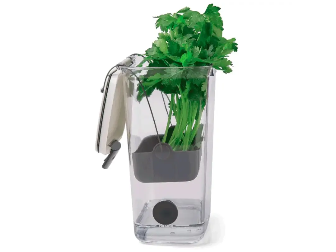 Contenedor de hierbas - frescas y hidratadas