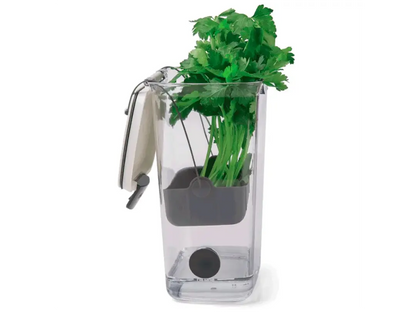 Contenedor de hierbas - frescas y hidratadas