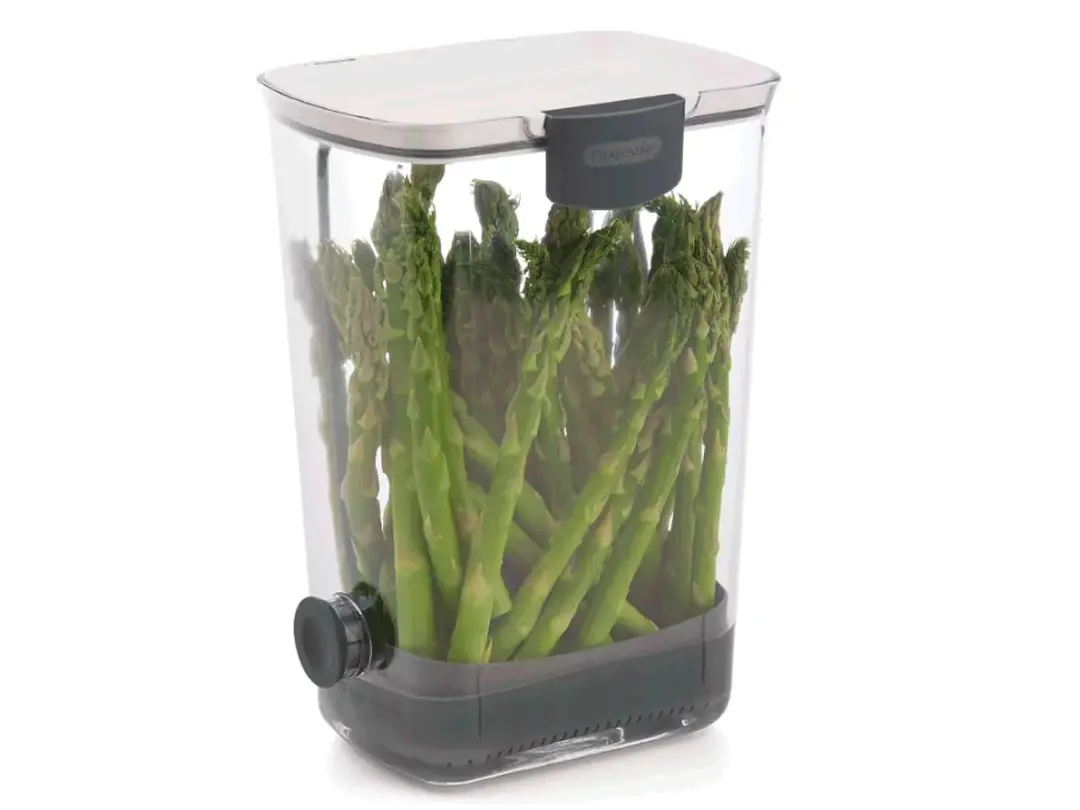 Contenedor de hierbas - frescas y hidratadas