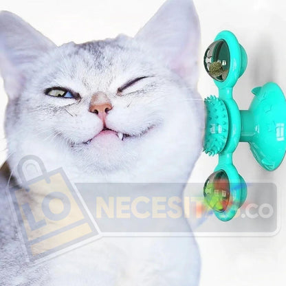 CAT TOY
